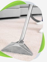 Carpet Cleaning Gisborne