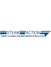 Steam Action Carpet & Upholstery Cleaning