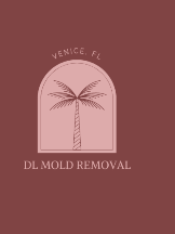 DL Mold Removal of Venice