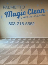 Palmetto Magic Clean