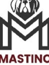 Mastino Management Reviews