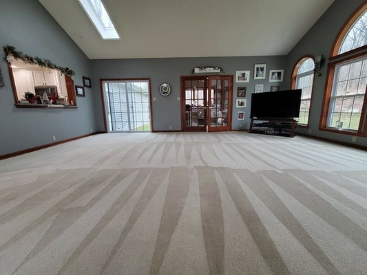 The Best Way To Clean Carpets In Kansas City