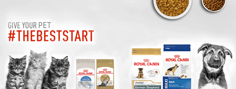 Most Popular Royal Canin Cat Food Every Pet Owner Should Know