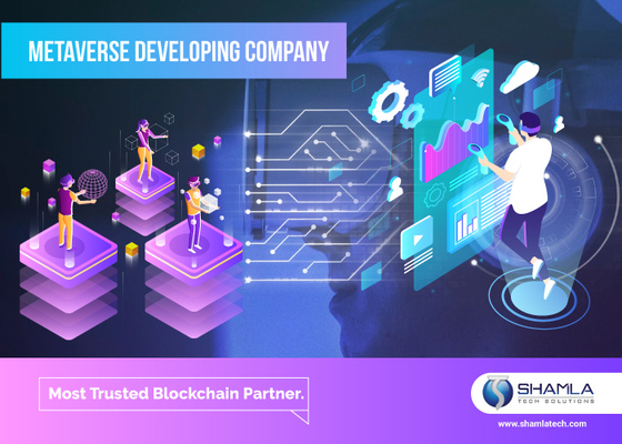 Metaverse Development Company