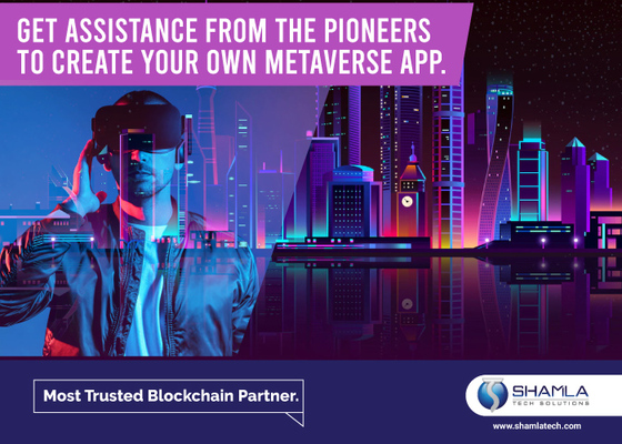 Metaverse Development Company