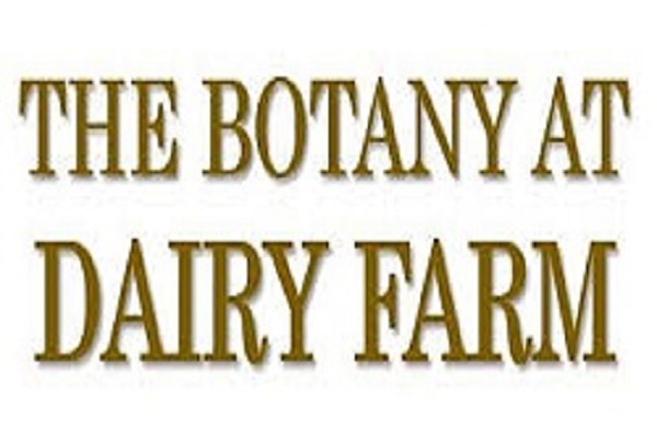 The Botany at Dairy Farm 万景轩 | Sim Lian | 6100 6149