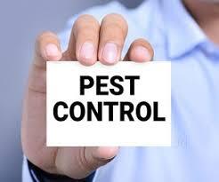 Thibodaux, LA | Locations | LaJaunie's Pest Control