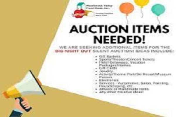 42 Awesome Silent Auction Ideas from Charity Safaris