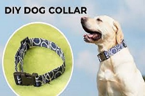 Dog Collars - Stylish and Functional Accessories | Dog Lovers - Dog Lovers