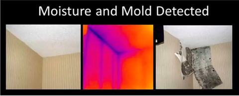 How Infrared Thermal Imaging Can Help You Get Rid Of Mold For Good