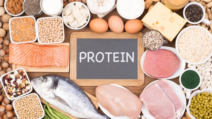 The Science Behind Protein Intake: Use a Protein Calculator to Optimize Your Diet