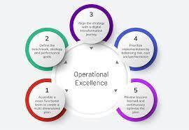 Enhancing Organizational Performance through Operational Excellence