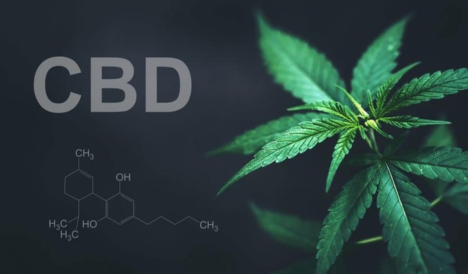 Guide d'achat CBD en France : Tout ce que vous devez savoir avant d'acheter du CBD