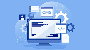 Adopting CMS Web Development Technologies Can Give NYC Businesses An Edge