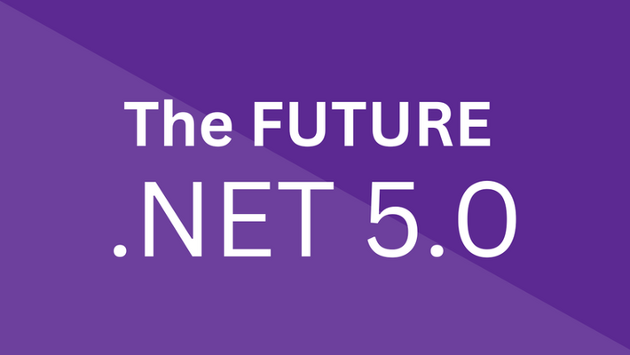 The Future of .NET 5.0