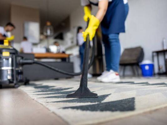 Guide to Professional Carpet Cleaning Services in Gainesville, FL