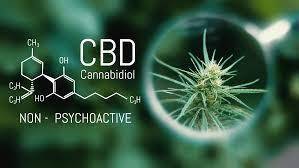 Achat CBD en France : Guide complet pour acheter du CBD en toute confiance