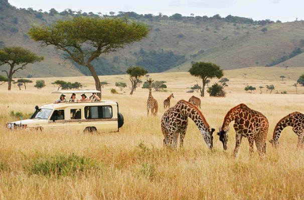 Sustainable Adventures: Engage in Ecotourism Activities in Kenya's Breathtaking Landscapes