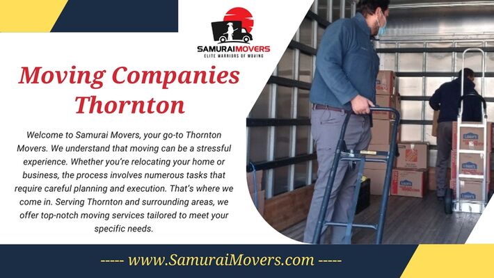 Seamless Moves with Samurai Movers: Your Trusted Moving Company in Thornton and Denver