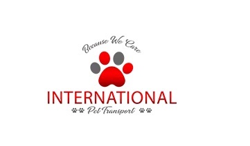 Safeguarding Furry Journeys through International Pet Transport