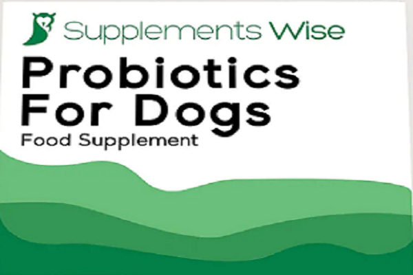 Probiotics for Dogs: A Comprehensive Guide