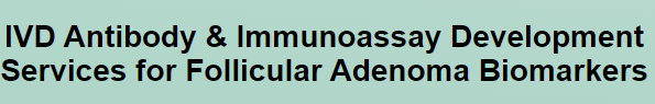 IVD Antibody for Follicular Adenoma