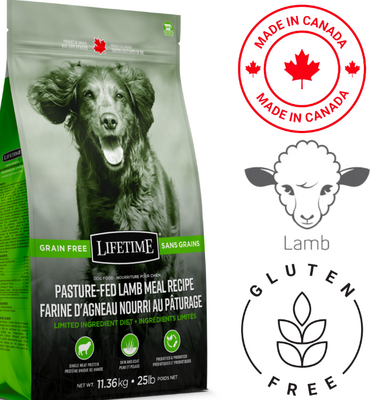 Why Raw Performance Dog Food is the Secret to Superior Canine Fitness