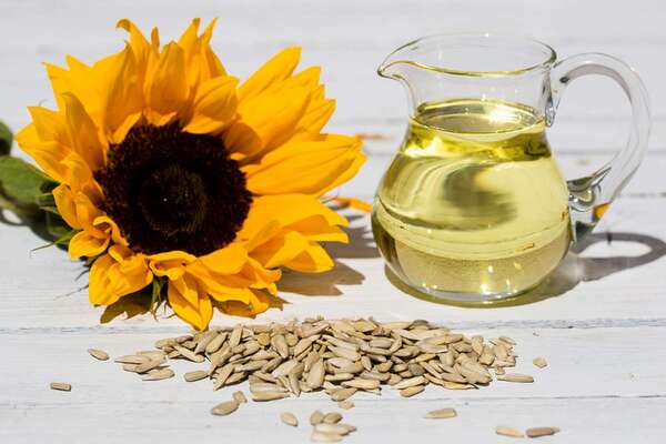 Is Sunflower Oil Healthy?