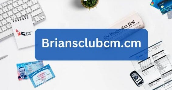 Briansclub: Catalyzing Economic Progress in New Jersey