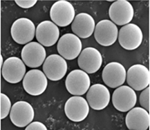 Versatile Plain Polystyrene Particles for Diverse Bioresearch Applications