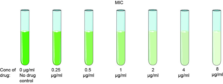 Minimum Inhibitory Concentration Testing Services