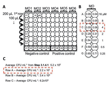 New MBC Assay for Antibacterial Testing