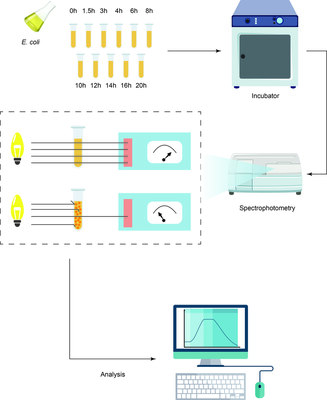 MDT Services for Measuring Antibacterial Effectiveness