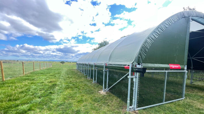 How and Why Is Livestock Housing Useful? | McGregor Agri