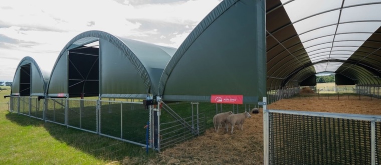 How and Why Is Livestock Housing Useful? | McGregor Agri