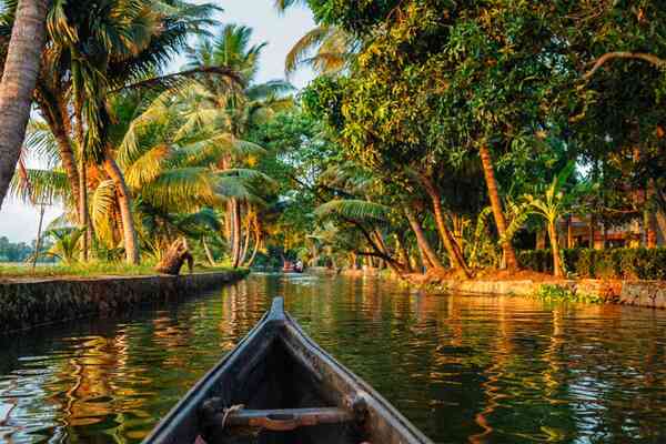 Enchanting Kerala Honeymoon Destinations: A Symphony of Love Amidst Nature's Splendor