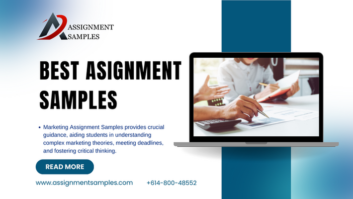 Strategic Support, Affordable Prices: 30% Off on Best Assignments Samples.