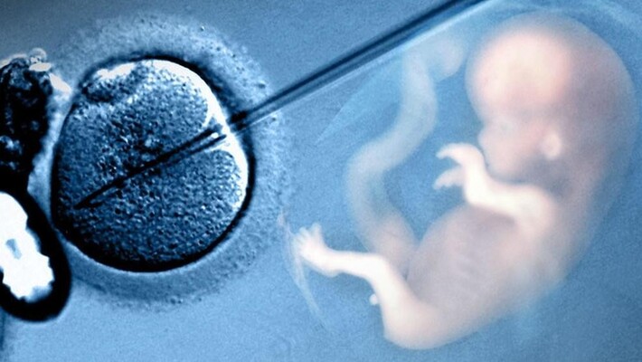 Are IVF Babies Smarter?