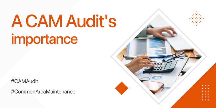 Unlocking Business Success: The Crucial Importance of CAM Audit