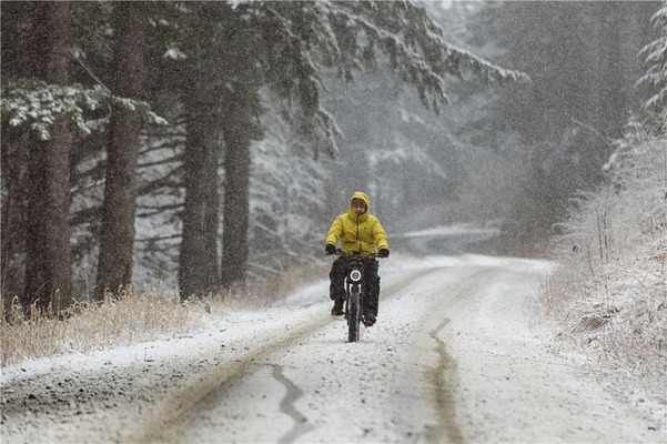 The Future of Travel: Why Ebikes are Taking Over