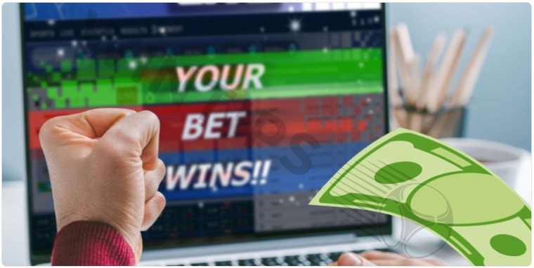 Discover the Latest and Most Exciting Bookmakers: Top 5 Must-See Picks