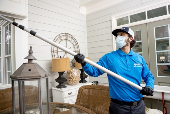 Benefits of Same-Day Pest Control Services