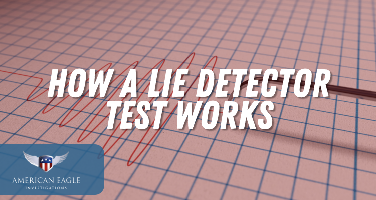 How a Lie Detector Test Works