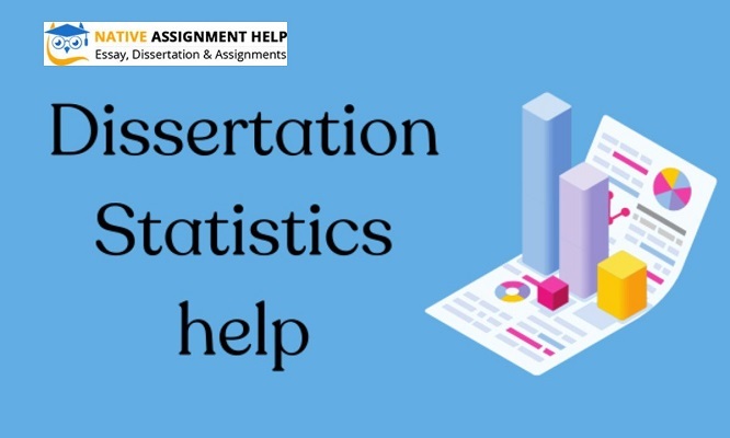 Innovation and Expertise in Statistics Dissertation Guidance