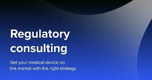 Regulatory Consulting to Businesses Services