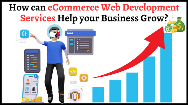 How Can eCommerce Web Development Services Help Your Business Grow?