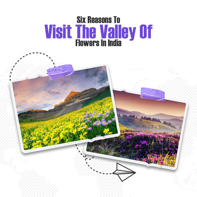 Six Reasons To Visit The Valley Of Flowers In India