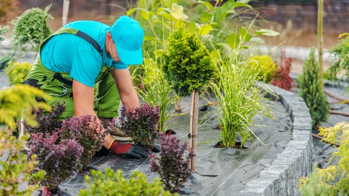 The Value of Professional Landscaping