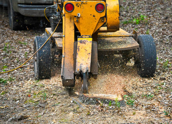 12 Benefits Of Stump Grinding