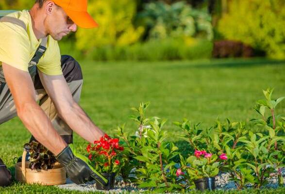 13 Useful Tips For Effective Garden Maintenance